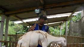  Human Initiative mengelola qurban dengan pendekatan yang jelas. Sejak awal, tim menjaga proses, menyusun distribusi dengan terarah, dan membuka akses agar lebih banyak orang bisa ikut berpartisipasi. Kami menawarkan berbagai macam kemudahan mulai da