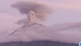 Gunung Semeru yang berada di perbatasan Kabupaten Lumajang dan Malang, Jawa Timur, kembali mengalami erupsi sebanyak empat kali pada Jumat pagi, 8 Mei 2026.