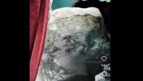 Peristiwa itu menghancurkan sebagian rumah