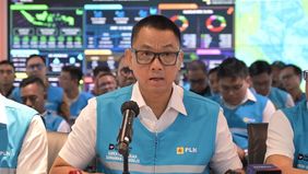 Direktur Utama PLN, Darmawan Prasodjo mengatakan bahwa sejak awal gangguan terjadi Jumat (22/5), sekitar pukul 18.44 WIB, PLN langsung bergerak melakukan pemeriksaan dan pemulihan sistem kelistrikan. Indikasi awal yang muncul, gangguan disebabkan cua