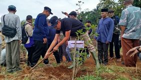 Jemaat Ahmadiyah Indonesia (JAI) melaksanakan Program Penanaman 100.000 Pohon Tahap III dengan menanam 24.000 pohon kopi di sejumlah wilayah Jawa Barat, Sabtu, 30 Mei 2026