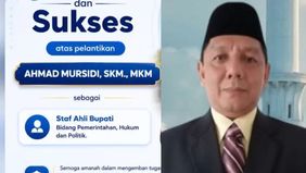 Pelantikan Ahmad Mursidi sebagai Staf Ahli Bupati Pandeglang Bidang Pemerintahan, Hukum, dan Politik memicu polemik. Pasalnya, pejabat yang sebelumnya menjabat sebagai Kepala Dinas Penanaman Modal dan Pelayanan Terpadu Satu Pintu (DPMPTSP) Kabupaten 