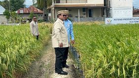 Prabowo Subianto meninjau Teknologi Budidaya Padi Pertanian Modern Model Advanced Agricultural System (PM-AAS) serta area Gelar Teknologi yang menampilkan berbagai inovasi di bidang pertanian, perikanan, peternakan, perkebunan, dan teknologi pendukun