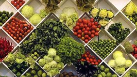 Menjaga kebersihan buah dan sayuran sebelum dikonsumsi merupakan langkah penting untuk mengurangi risiko paparan kotoran maupun bakteri. 
