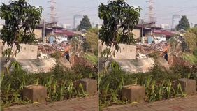 Tanah longsor terjadi di kawasan Pasar Pintu Air atau dekat Pintu Air Karet, Petamburan, Tanah Abang, Jakarta Pusat, pada Jumat (26/6/2026) pagi. Peristiwa tersebut mengakibatkan sedikitnya sebuah rumah warga ambles akibat pergerakan tanah.