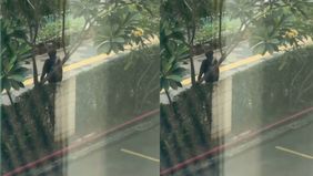 Sebuah video yang memperlihatkan dugaan aksi pencopetan terhadap seorang warga negara asing (WNA) di kawasan Setiabudi, Jakarta Selatan, menjadi viral di media sosial. Peristiwa tersebut disebut terjadi saat korban berjalan kaki di trotoar sekitar St