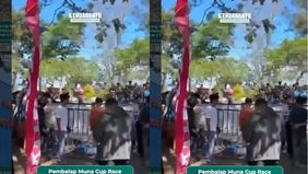 Berdasarkan video yang diterima Kendariinfo, insiden tersebut memicu kepanikan di lokasi. Pembalap yang terlibat tampak dievakuasi, sementara beberapa penonton terlihat tergeletak di sekitar area sirkuit.