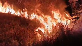 Sekitar 12.000 orang dievakuasi setelah kebakaran hutan yang melanda Departemen Pyrenees Orientales di selatan Prancis terus meluas pada Selasa, 7 Juli 2026.