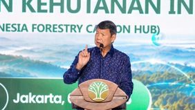 Utusan Khusus Presiden RI Bidang Energi dan Iklim Hashim Djojohadikusumo menilai peningkatan jumlah personel Polisi Kehutanan (Polhut) menjadi langkah penting untuk memperkuat pengamanan kawasan hutan serta mendukung program kehutanan berkelanjutan.