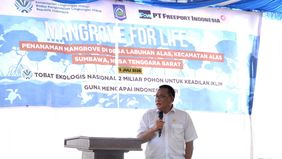 PT Freeport Indonesia (PTFI) bersama Kementerian Lingkungan Hidup (KLH) memperkuat rehabilitasi ekosistem mangrove nasional melalui penanaman 1,5 juta bibit mangrove di Nusa Tenggara Barat (NTB).