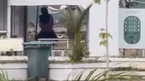 Video tersebut pertama kali diterima Kendariinfo dari seorang warga yang mengaku sengaja merekam kejadian itu sebagai bentuk kepedulian terhadap kesucian kawasan masjid.