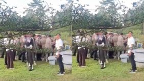 Sebuah video yang diunggah akun Instagram @suaraakarrumputt menjadi sorotan publik. Unggahan tersebut menampilkan narasi mengenai dugaan penganiayaan terhadap seorang dosen dan petugas keamanan Universitas Fort De Kock, Bukittinggi, Sumatera Barat.