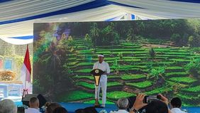 Gubernur Jawa Barat Dedi Mulyadi mengungkapkan Pemerintah Provinsi Jawa Barat memilih tidak menjadi investor tunggal dalam proyek Bus Rapid Transit (BRT) Bandung Raya agar pemerataan anggaran pembangunan di seluruh kabupaten dan kota tetap terjaga.
