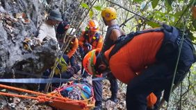 Tim Kantor Pencarian dan Pertolongan (Basarnas) Kelas A Makassar berhasil mengevakuasi enam mahasiswa Universitas Hasanuddin (Unhas) yang terjebak di kawasan Gunung Goa Kalibbong Alloa, Desa Belae, Kabupaten Pangkep, Sulawesi Selatan.