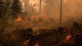 Gelombang kebakaran hutan yang melanda negara bagian Washington, Amerika Serikat, memaksa lebih dari 65.000 warga meninggalkan tempat tinggal mereka. Bencana tersebut juga menyebabkan ratusan bangunan mengalami kerusakan akibat amukan api