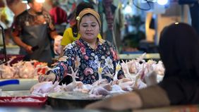 Pemerintah daerah diminta memperhatikan perkembangan harga daging ayam ras di wilayah masing-masing. Kepala Badan Pusat Statistik (BPS) Amalia Adininggar Widyasanti menilai kenaikan harga komoditas tersebut terjadi di sejumlah kabupaten/kota, meski r