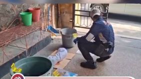 Pemilik rumah, David mengatakan jasad bayi tersebut pertama kali ditemukan oleh petugas kebersihan yang hendak mengangkut sampah rumah tangga di lokasi kejadian.

