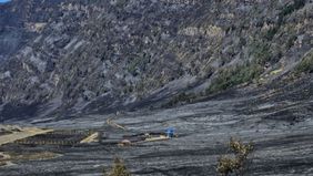 Penutupan sementara akses wisata Gunung Bromo akibat kebakaran hutan dan lahan berdampak langsung pada ribuan pengunjung. 