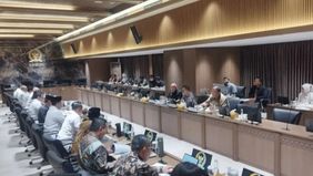 Dasco meminta temuan di lapangan diselesaikan secepatnya