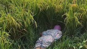 Berdasarkan pengamatan di lokasi kejadian, korban diperkirakan merupakan seorang wanita berusia lanjut (lansia). Jasad ditemukan dalam posisi terlentang di celah pematang dan rerumputan di pinggir areal tanaman padi.