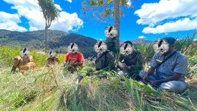 Koops TNI Habema Hadirkan Kembali Negara di Bawah Kaki Gunung Cartenz Setelah 15 Tahun Terisolasi