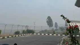 Aktivitas penerbangan di Bandara Haji Muhammad Sidik Muara Teweh, Kabupaten Barito Utara, Kalimantan Tengah, kembali terganggu akibat kabut asap.
