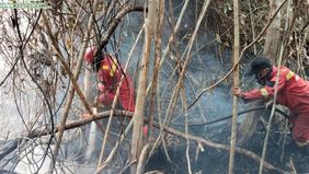 Badan Meteorologi, Klimatologi, dan Geofisika (BMKG) Stasiun Pekanbaru mencatat lonjakan jumlah titik panas (hotspot) di Pulau Sumatera yang mencapai total 733 titik, berdasarkan pembaruan data pada pukul 16.00 WIB, Jumat, 21 Agustus 2026.