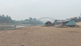 Sungai Barito di Kalimantan Tengah mengalami penyusutan debit air yang cukup signifikan. Kondisi tersebut membuat sejumlah bagian sungai menjadi dangkal, bahkan memunculkan hamparan pasir dan daratan di tengah aliran.