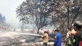 Tim gabungan pengendalian kebakaran hutan dan lahan berhasil menangani kebakaran yang melanda kawasan hutan konservasi seluas 13,8 hektare di Kalimantan Timur.