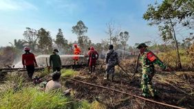 Kementerian Kehutanan (Kemenhut) memastikan kebakaran hutan di kawasan Taman Nasional Way Kambas, Lampung Timur, telah berhasil dipadamkan. Seluruh gajah Sumatra di habitat alami maupun Pusat Konservasi Gajah dilaporkan dalam kondisi aman.