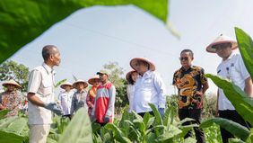Upaya memperkuat produktivitas dan daya saing tembakau nasional terus dilakukan melalui kolaborasi antara pemerintah, pelaku industri, dan petani.