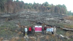 Kementerian Kehutanan (Kemenhut) membekukan perizinan berusaha PT MPK dan memberikan sanksi Paksaan Pemerintah setelah ditemukan kebakaran hutan dan lahan (karhutla) yang terjadi secara luas dan berulang di area perusahaan tersebut di Kalimantan Bara