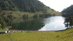 Kebakaran hutan dan lahan (karhutla) menerjang jalur pendakian Gunung Semeru, Jawa Timur, tepatnya di Blok Ranu Kembang. Akibat insiden tersebut, sekitar 170 pendaki yang saat ini terhitung masih berada di kawasan Ranu Kumbolo harus segera dievakuasi