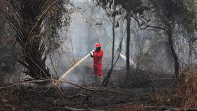 Pasukan Bela Diri Jepang (JSDF) akan mengirimkan kapal tempur dan helikopter ke Indonesia untuk menjalankan misi bantuan internasional dalam mendukung penanganan kebakaran hutan dan lahan (karhutla).