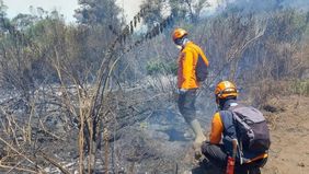Badan Nasional Penanggulangan Bencana (BNPB) melaporkan kebakaran hutan dan lahan (karhutla) meluas di lima kawasan pegunungan di Jawa Timur. 