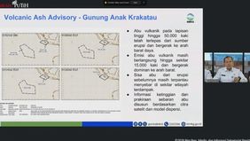 Dampak Erupsi Anak Krakatau, Pemerintah Siapkan Langkah Mitigasi Sektor Penerbangan