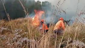 Kebakaran hutan dan lahan (karhutla) kembali melanda kawasan Gunung Bromo yang berada di wilayah Taman Nasional Bromo Tengger Semeru (TNBTS), Kabupaten Probolinggo, Jawa Timur. Petugas gabungan masih berupaya memadamkan api yang terus menjalar.