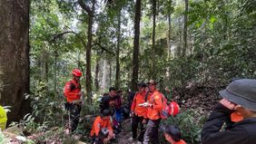 Tim SAR gabungan berhasil menemukan dan mengevakuasi tujuh pendaki dari Gunung Nokolalaki di Kabupaten Sigi, Sulawesi Tengah (Sulteng).