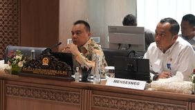 Ini disampaikan saat DPR rapat dengan pemerintah, BI, OJK hingga Danantara