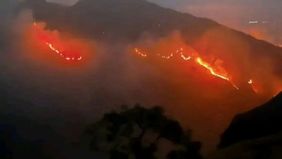 Balai Taman Nasional Gunung Rinjani (TNGR) Nusa Tenggara Barat (NTB) mencatat luas sementara kawasan yang terdampak kebakaran mencapai 589,23 hektare berdasarkan perhitungan dan pemantauan hingga Kamis, 24 September 2026.