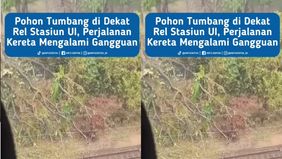 Dilaporkan terjadi pohon tumbang di sekitar Stasiun Universitas Indonesia (UI), Rabu (30/9/2026) sekitar pukul 14.10 WIB.