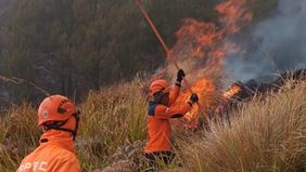 Badan Penanggulangan Bencana Daerah (BPBD) Kabupaten Probolinggo, Jawa Timur, mengungkap kronologi kebakaran hutan dan lahan (karhutla) di Pusung Lingker, Desa Ngadirejo, Kecamatan Sukapura, kawasan Gunung Bromo.