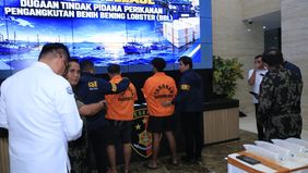 Bareskrim Polri membongkar dugaan jaringan penyelundupan benih bening lobster (BBL) atau baby lobster asal Pangandaran, Jawa Barat, yang diduga akan dikirim ke luar negeri. 