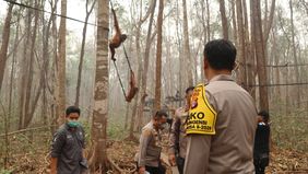 Polri memperkuat upaya perlindungan orang utan dan pelestarian lingkungan di Kalimantan Tengah melalui patroli hutan terpadu, penyelamatan satwa terdampak kebakaran hutan dan lahan (karhutla), serta pengamanan pusat rehabilitasi.