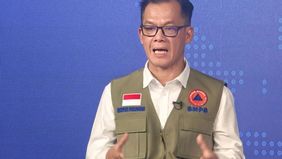 Badan Nasional Penanggulangan Bencana (BNPB) mengungkapkan bahwa akumulasi luas lahan yang terdampak kebakaran hutan dan lahan (karhutla) di tiga provinsi utama di Pulau Kalimantan meliputi Kalimantan Tengah, Kalimantan Selatan, dan Kalimantan Barat 