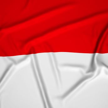 Populasi Dunia Tembus 8 Miliar di 2025, Indonesia Posisi Empat