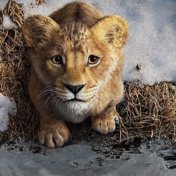 Disney Resmi Rilis Trailer Mufasa The Lion King