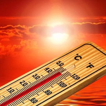 Kuwait Dilanda Suhu Ekstrem di Beberapa Kota, Capai 47 hingga 49 Derajat Celcius