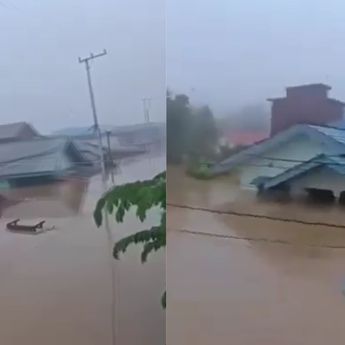 Penampakan Banjir 4 Meter di Ulu Kaltim