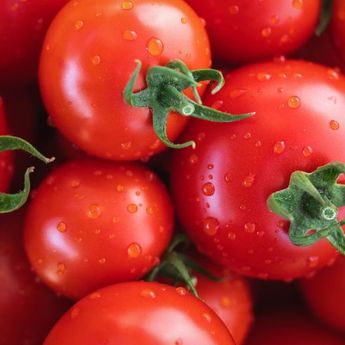 6 Manfaat Makan Tomat Mentah, Salah Satunya Jaga Kesehatan Kulit